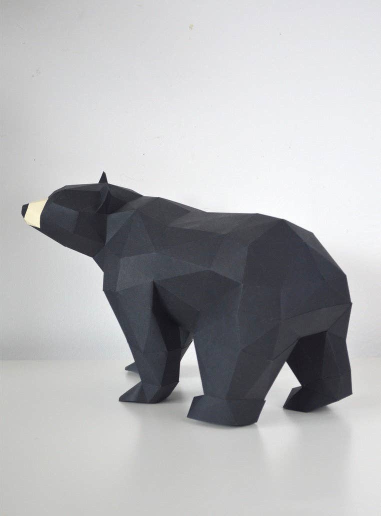 Black Bear