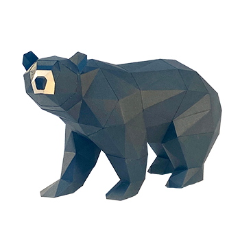Black Bear