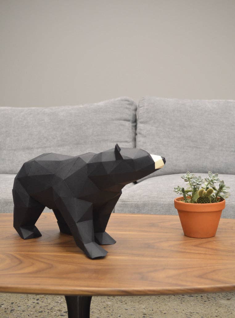Black Bear