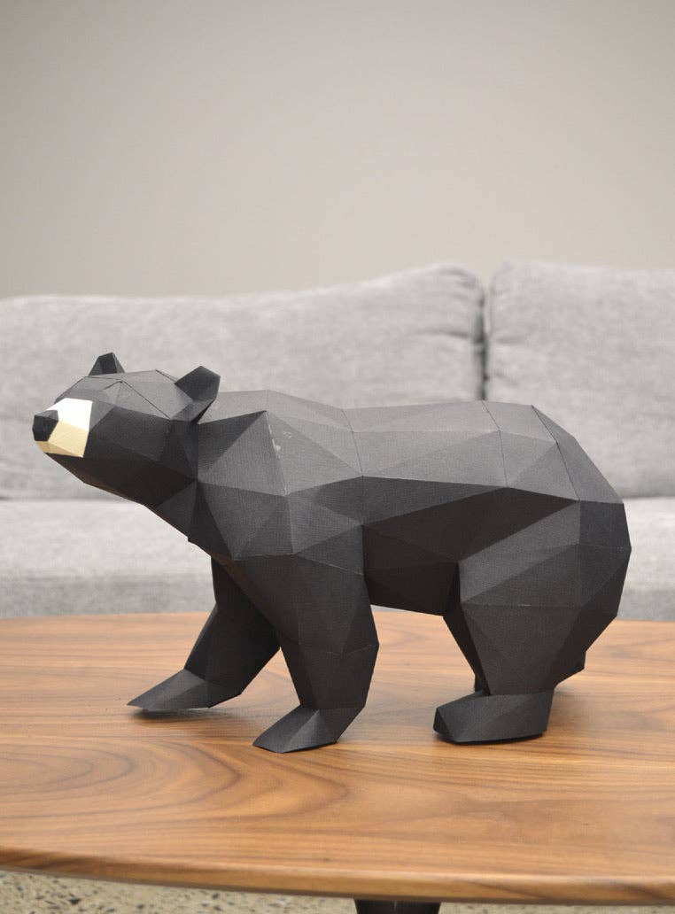 Black Bear