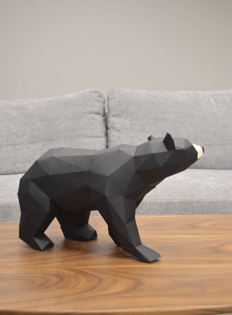 Black Bear