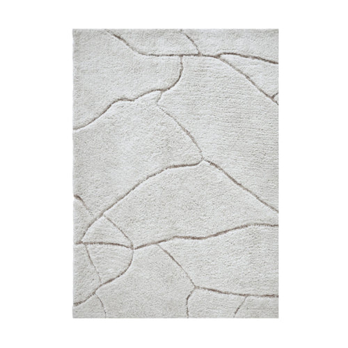 Area Rug showing pattern. Allen style
