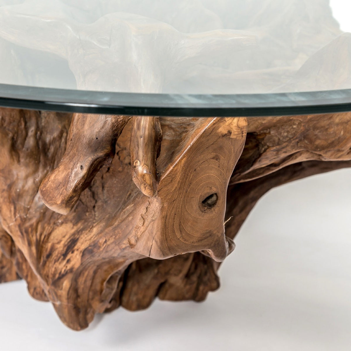 Natura Round Root Coffee Table