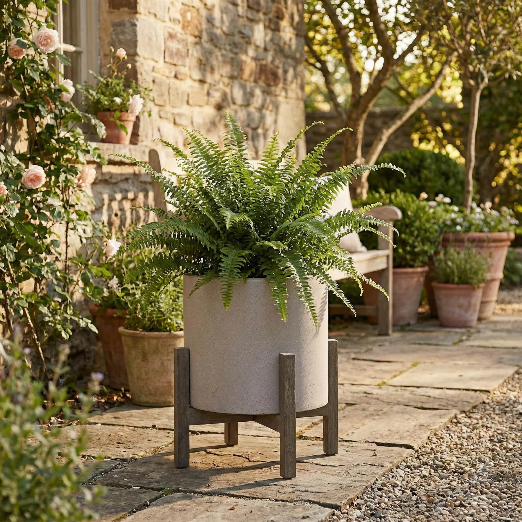 Potted fern on a stone patio with garden and stone wall background