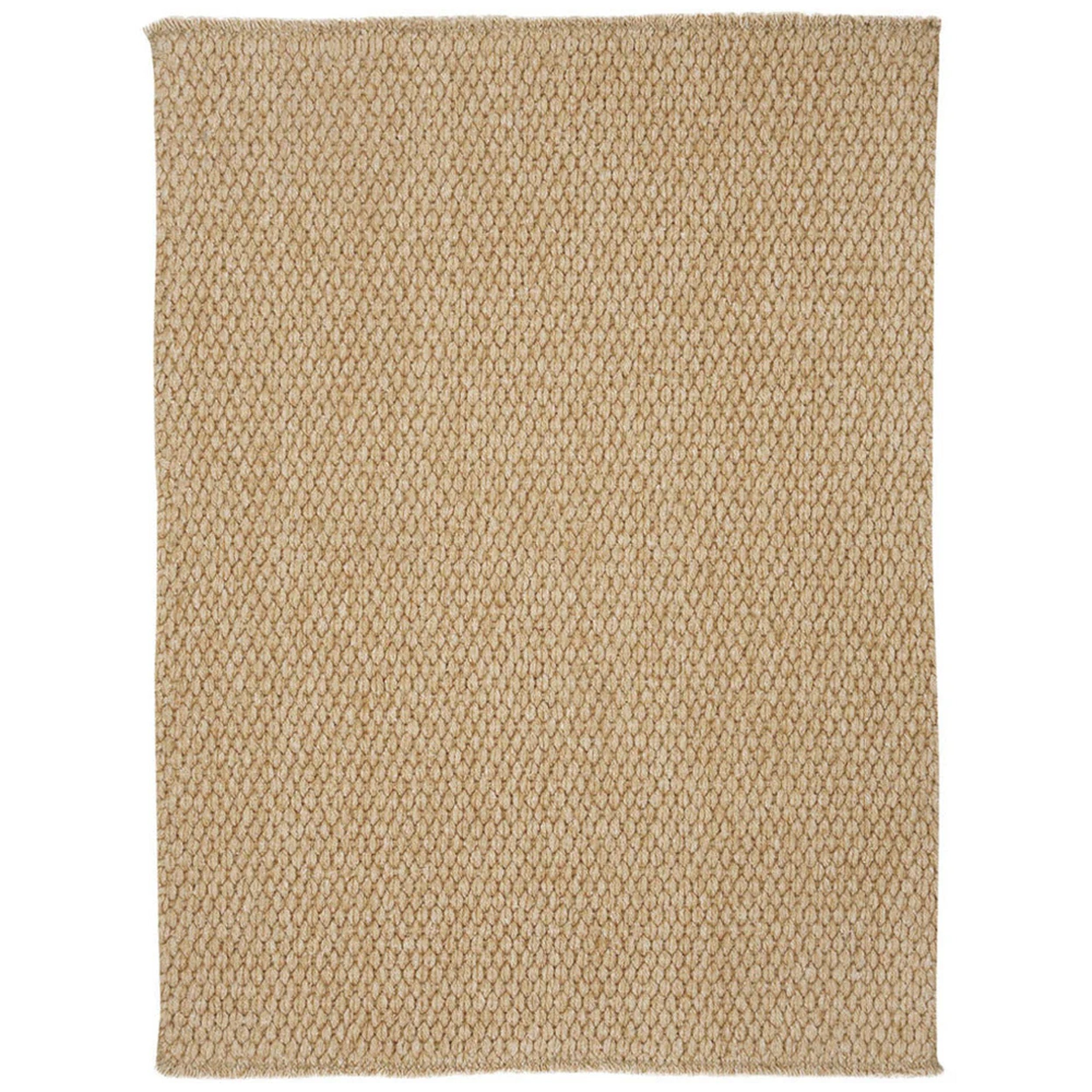 Simplicity Concentric Area Rug