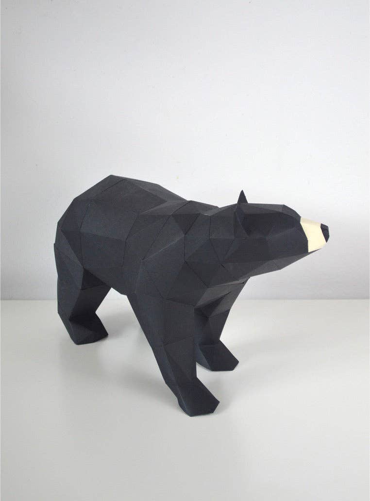 Black Bear