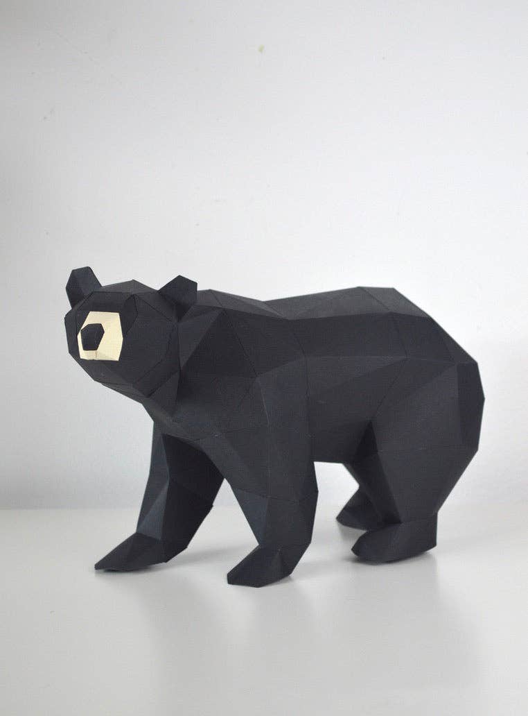 Black Bear