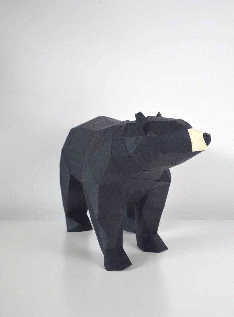 Black Bear