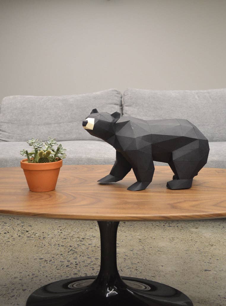 Black Bear