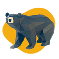 Black Bear